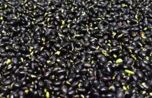 Kdo by to řekl? Zapomenutá surovina v české kuchyni se vrací ve velkém stylu!