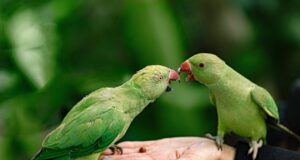 Objevily jsme 3 fascinující způsoby, jak umělá inteligence mění naše každodenní životy!