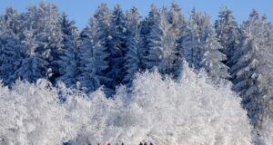 Mrazivé počasí neodradilo fanoušky biatlonu v Novém Městě, karavany byly plné
