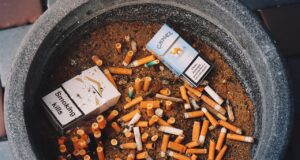 Jak internetový obr změnil vaše online zvyky, aniž byste si toho všimli