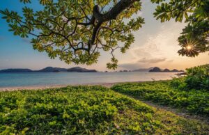 Tyršův sad v Brně se stane bezbariérovým díky novému výtahu