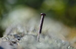 Zaměstnanci státní sféry si polepší: Od dubna rostou platy až o deset procent