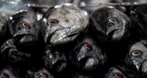 Staňte se finančním kouzelníkem: Jak si díky inflaci vydělat peníze z pohodlí domova!