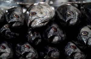 Staňte se finančním kouzelníkem: Jak si díky inflaci vydělat peníze z pohodlí domova!