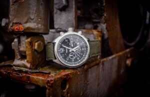 Překvapivý nález miocénní želvy v Polsku přepisuje historii pradávné fauny střední Evropy