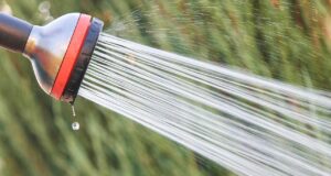 Odhalte tajemství mozku: Proč vás může sprcha udělat géniem?