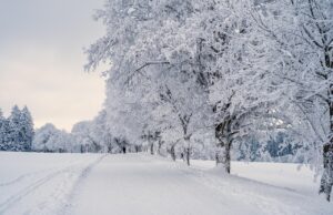 Střední Evropu zasáhla silná tlaková níže: Sníh a ledovka komplikují dopravu