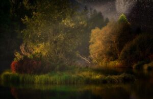 Našel se tajemný ostrov plný pokladů a nikdo neví, jak je to možné!