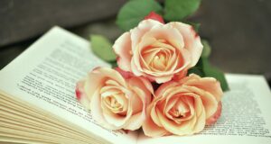 Zapomeňte na Netflix! Tahle kniha vám změní pohled na život!