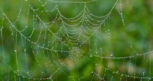 Jak váš oblíbený web denně ohrožuje vaše soukromí!