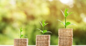 Ekonomická magie: Jak změna jednoho slova může ovlivnit světový trh