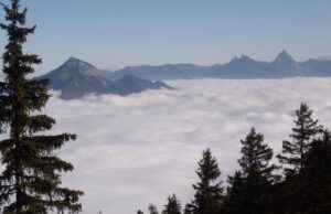 Ekonomika není černobílá záležitost