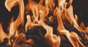Austrálii sužují rekordní vedra: Teploty přesahují 50 °C a stále narůstají