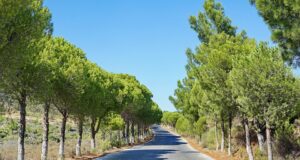 Revoluce v technologiích: Jak inovace mění náš každodenní život