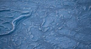 Jižní Floridu zasáhlo extrémní mrazivé počasí, padal sníh a leguáni