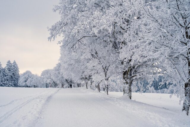 snow